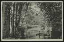 Ohlau &ndash; Ohlepartie im Park [Dokument ikonograficzny]