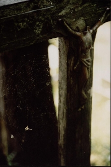 Zapomniane (jeleniog&oacute;rski cmentarz) 1 [Dokument ikonograficzny]