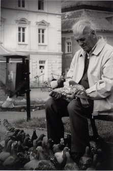 Gołębiarz 2 [Dokument ikonograficzny]