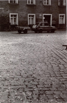 W deszczu maleńkich, ż&oacute;łtych kwiat&oacute;w [Dokument ikonograficzny]