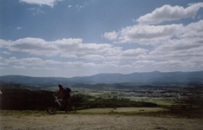 Rowerzysta [Dokument ikonograficzny]