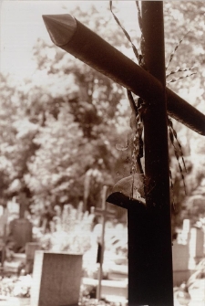 To też są Jeleniog&oacute;rzanie [Dokument ikonograficzny]