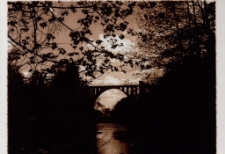 Perła [Dokument ikonograficzny]