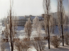 Mroźny poranek [Dokument ikonograficzny]