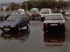 Lustrzane odbicia "D" [Dokument ikonograficzny]