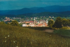 Miasto zatopione w zieleni [Dokument ikonograficzny]