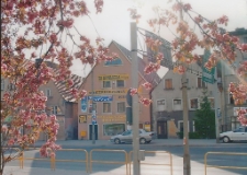 Podwale [Dokument ikonograficzny]