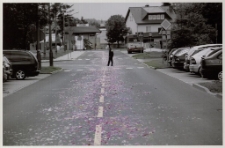 Boże Ciało [2] [Dokument ikonograficzny]