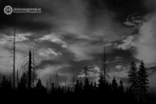 [Fotografia - uczestnicy] [2] [Dokument ikonograficzny]