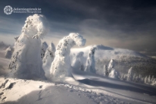 [Fotografia - uczestnicy] [2] [Dokument ikonograficzny]