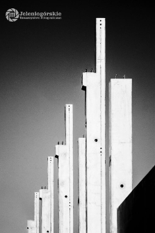 [Fotografia - uczestnicy] [2] [Dokument ikonograficzny]