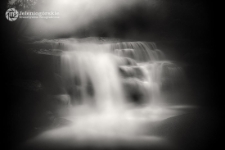 [Fotografia - uczestnicy] [1] [Dokument ikonograficzny]