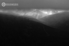 [Fotografia - uczestnicy] [3] [Dokument ikonograficzny]