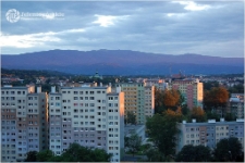 [Fotografia - wyr&oacute;żnienie honorowe] [Dokument ikonograficzny]