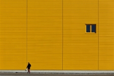 Wok&oacute;ł wielkiego sklepu [1] [Dokument ikonograficzny]