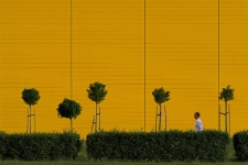 Wok&oacute;ł wielkiego sklepu 3 [Dokument ikonograficzny]