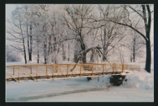 [Fotografia - uczestnicy] [Dokument ikonograficzny]