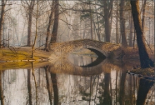 Mostek w porannym słońcu [Dokument ikonograficzny]