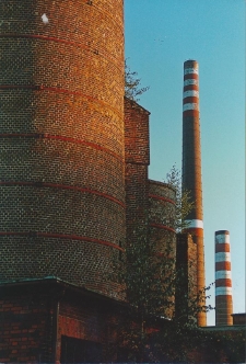 Relikt przeszłości III [Dokument ikonograficzny]