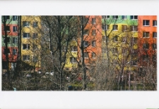 Na Zabobrzu II [Dokument ikonograficzny]