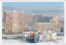 Zima na Zabobrzu II [Dokument ikonograficzny]