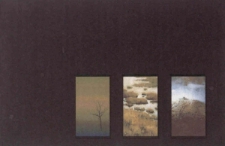 Widoki ulotne - zaproszenie [Dokument życia społecznego]