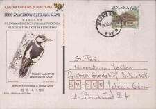 1000 znaczk&oacute;w Czesława Słani - zaproszenie [Dokument życia społecznego]