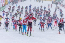 Bieg Piast&oacute;w : 50 km (fot. 6) [Dokument ikonograficzny]