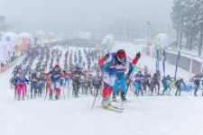 Bieg Piast&oacute;w : 50 km (fot. 5) [Dokument ikonograficzny]