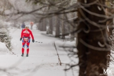 Bieg Piast&oacute;w : KGHM Rodzinna Dwunastka (fot. 7) [Dokument ikonograficzny]