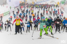 Bieg Piast&oacute;w : KGHM Rodzinna Dwunastka (fot. 1) [Dokument ikonograficzny]