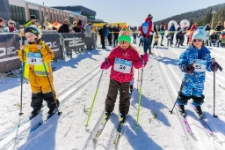 Bieg Piast&oacute;w : Bieg Przedszkolaka (fot. 11) [Dokument ikonograficzny]