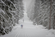 Bieg Piast&oacute;w : KGHM Rodzinna Dwunastka (fot. 11) [Dokument ikonograficzny]