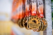 Bieg Piast&oacute;w : KGHM Rodzinna Dwunastka (fot. 17) [Dokument ikonograficzny]