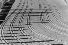 Bieg Piast&oacute;w : IX Memoriał Stanisława Michonia (fot. 1) [Dokument ikonograficzny]