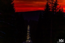 Bieg Piast&oacute;w : Nocna Dwunastka (fot. 17) [Dokument ikonograficzny]