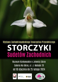 Storczyki Sudet&oacute;w Zachodnich - plakat [Dokument elektroniczny]