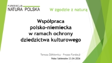 Wsp&oacute;łpraca polsko-niemiecka w ramach ochrony dziedzictwa kulturowego [Dokument elektroniczny]