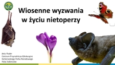 Wiosenne wyzwania w życiu nietoperzy [Dokument elektroniczny]