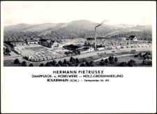 Hermann Pietrusky Dampfsäge- Hobelwerk - Holz-Grosshandlung [Dokument ikonograficzny]