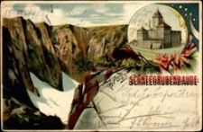 Gruss von der Schneegrubenbaude [Dokument ikonograficzny]