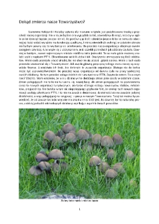 Dokąd zmierza nasze Towarzystwo? [Dokument elektroniczny]