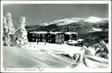 Wintersonne a.d. Peterbaude Rsgb. [Dokument ikonograficzny]