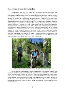 Zapomniane atrakcje Borowego Jaru [Dokument elektroniczny]