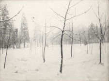 Zima w Parku Miejskim w Jaworze