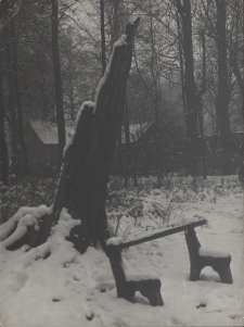 Zima w Parku Miejskim w Jaworze