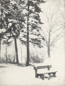 Zima w Parku Miejskim w Jaworze