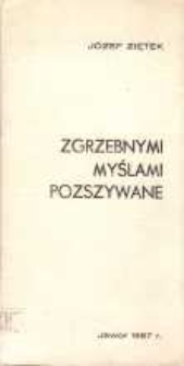 Zgrzebnymi myślami pozszywane