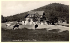 Brotbaude bei Brückenberg i. Rsgb. [Dokument ikonograficzny]