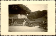 [Fragment architektoniczny (mur okalający, kuta brama wejściowa) w otoczeniu zieleni] [Dokument ikonograficzny]